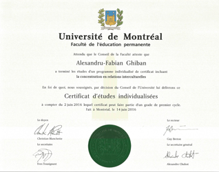 Certificate of Individual Studies