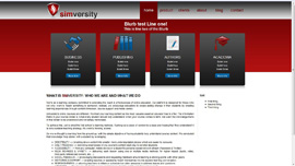 Online university